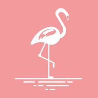 Beachflamingo.com