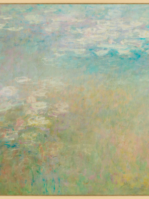 Monet's Meadow 1