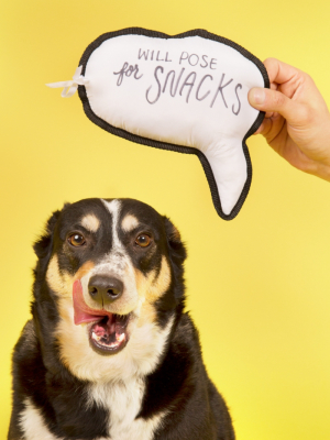 Bark Write On! Speech Bubble Dog Toy