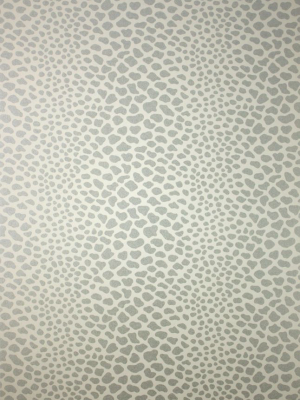 Sample Panthera Wallpaper In Gray From The Komodo Collection By Osborne & Little