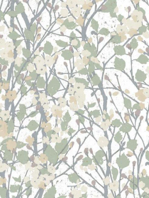 Willow Branch Peel & Stick Wallpaper In Off-white By Roommates For York Wallcoverings