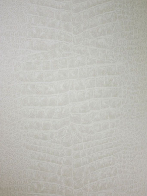 Crocodilo Wallpaper In Gray From The Metropolis Collection By Osborne & Little