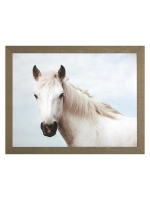 Serene Horse Photograph