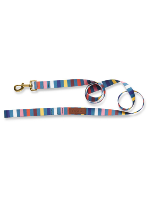 Big Stripe Dog Lead