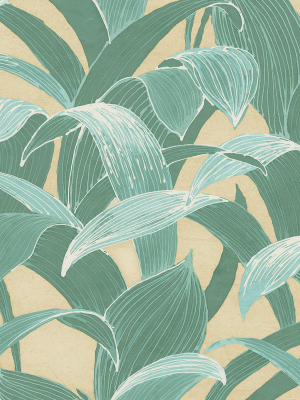 Cha Cha Wallpaper In Green