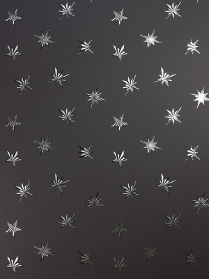 Sirius Wallpaper In Black From The Belvoir Collection By Matthew Williamson