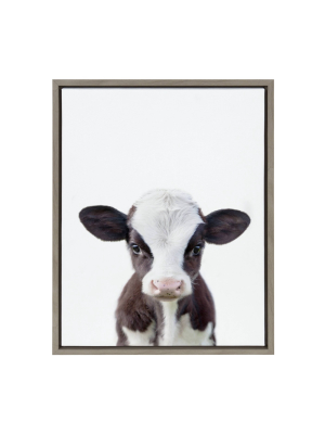 18" X 24" Sylvie Baby Cow Portrait Framed Canvas Wall Art By Amy Peterson Gray - Designovation