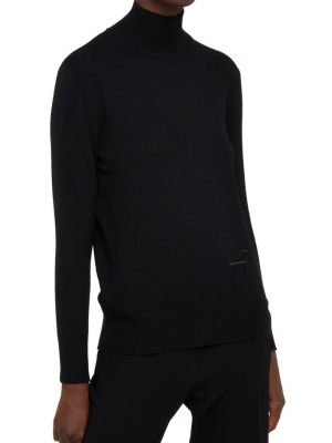 Alberta Ferretti Turtleneck Knit Sweater