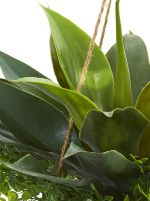 15" X 13" Artificial Agave And Maiden Hair Plant In Hanging Basket - Nearly Natural