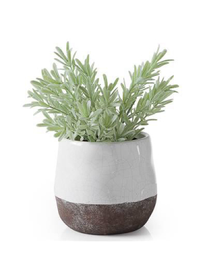 Corsica Ceramic Crackle 2 Tone 4" Round Pot In White