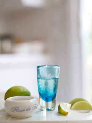 Etched Shot Glass - Aqua