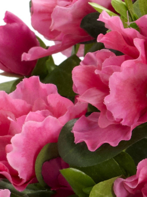 Nearly Natural Azalea With Metal Planter Silk Plant Pink