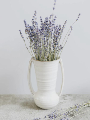Farmhouse Ceramic Vase With Handles - 7.75"