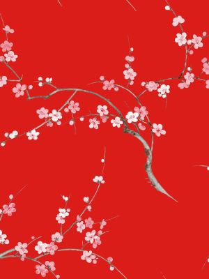 Cherry Blossom Floral Peel-and-stick Wallpaper In Scarlet And Petal Pink By Nextwall