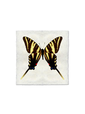 Butterfly #8 Print