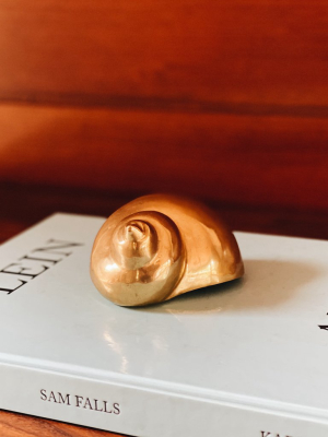 Shell Paper Weight