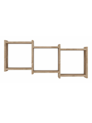 35.5" X 16.3" Connected Three Cube Wall Shelf - Danya B.