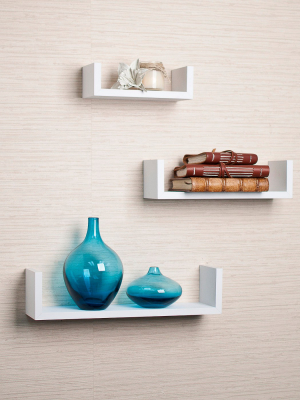 3pc Wall Shelving Set - Danya B.