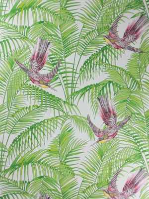 Sunbird Wallpaper In Ruby And Kiwi By Matthew Williamson For Osborne & Little