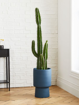 Faux Cactus & Midnight Bishop Pedestal Planter Set