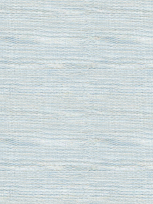 Agave Imitation Grasscloth Wallpaper In Blue From The Pacifica Collection By Brewster Home Fashions