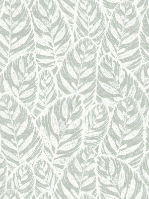 Del Mar Botanical Wallpaper In Sage Leaf From The Scott Living Collection By Brewster Home Fashions