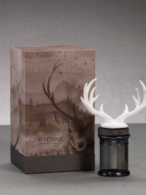 Cheyenne Porcelain Diffuser - Siberian Fir