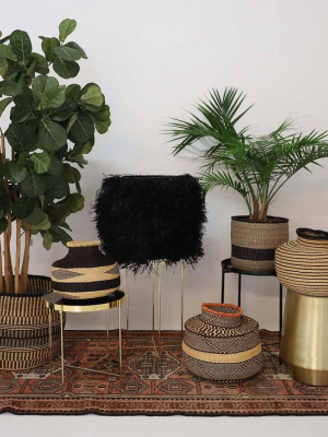 Striped Black Grass Pot