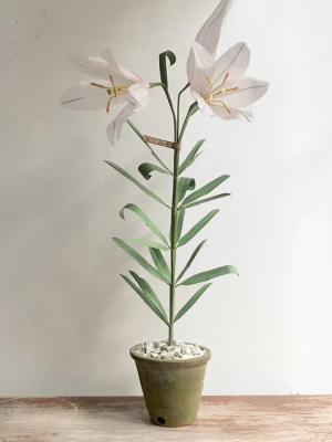 The Green Vase Potted Easter Lily