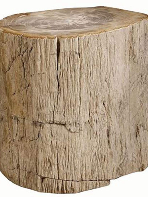 Petrified Wood Side Table