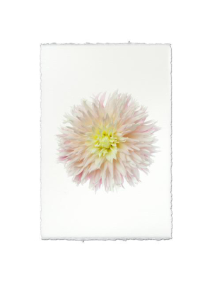 Dahlia Print - Just Married