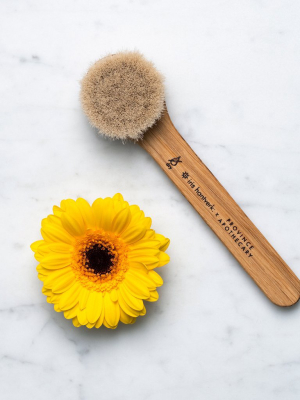 Daily Glow Facial Brush