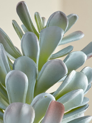 Dusty Sedum Faux Succulent