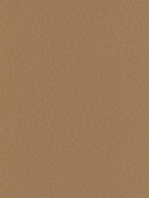 Elspeth Solid Wallpaper In Brown Design By Bd Wall