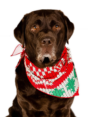 The Red Ryder | Knit Print Christmas Dog Bandana