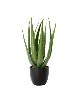 Vickerman Artificial Potted Aloe Vera