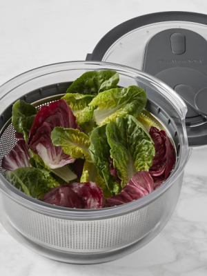 Williams Sonoma Stainless-steel Salad Spinner