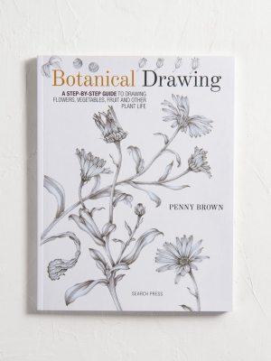 Botanical Drawing