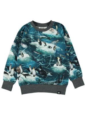 Molo Romeo Tee - Antarctica