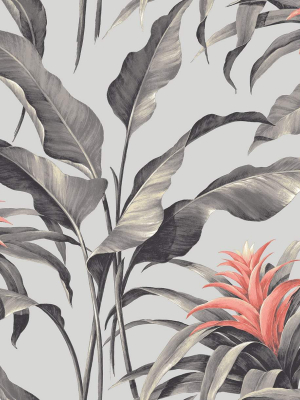 Palma Peel-and-stick Wallpaper In Metallic And Coral By Stacy Garcia For Nextwall