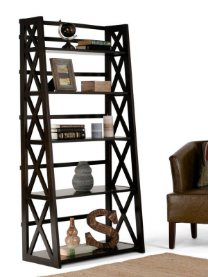 63"x30" Waterloo Ladder Shelf - Wyndenhall