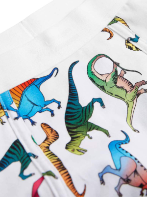 Boy Shorts - Dinosaur Print