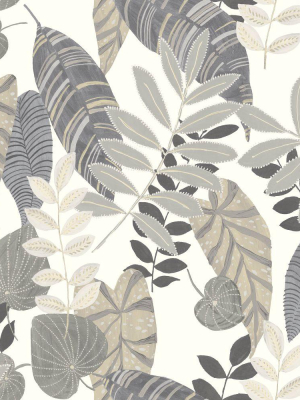 Tropicana Leaves Wallpaper In Charcoal, Stone, And Daydream Grey From The Boho Rhapsody Collection By Seabrook Wallcoverings