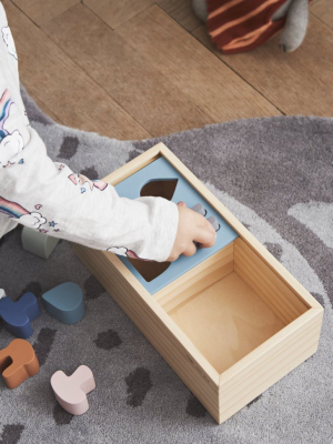 Wooden Puzzle Box - Nature