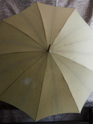 Early 20th Century Parasol Umbrella 1