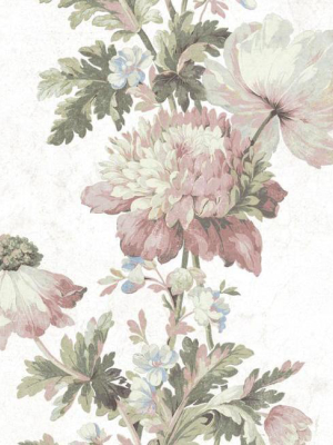 Vintage Floral Stripe Peel & Stick Wallpaper In Pink By Roommates For York Wallcoverings