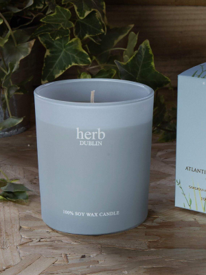 Herb Dublin Atlantic Seasalt Boxed Candle