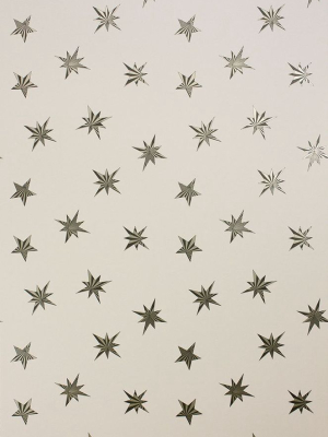 Sample Sirius Wallpaper In Tan From The Belvoir Collection By Matthew Williamson