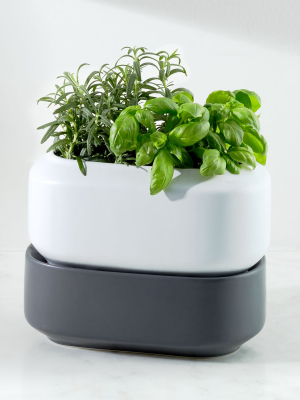 Chef'n ® Large Herb Planter Box