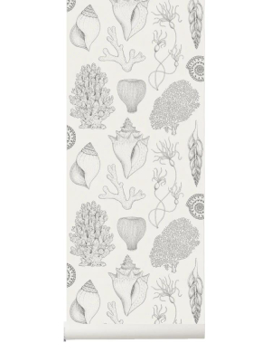 Shells Wallpaper In Off-white By Katie Scott For Ferm Living